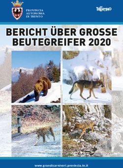 BERICHT ÜBER GROSSE BEUTEGREIFER 2020 - PROVINCIA AUTONOMA DI TRENTO - www.grandicarnivori.provincia.tn.it - Grandi ...