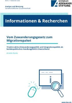 Vom Zuwanderungsgesetz Zum Migrationspaket - 15 Jahre Aktive ...