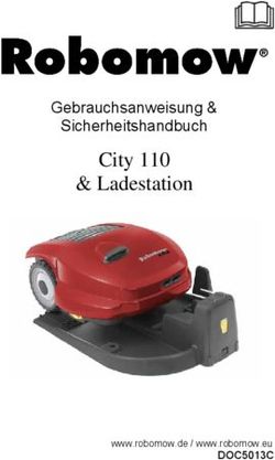City 110 & Ladestation - Gebrauchsanweisung & Sicherheitshandbuch - DOC5013C