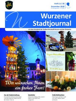 Wurzener Stadtjournal - Heft 12 / 20 Dezember 2020