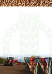 Sorteninformation Herbst 2020 - Wintergetreide | Feuchtgebiet und &Uuml;bergangslagen - Wie du s&auml;st, so wirst du ernten - Probstdorfer Saatzucht