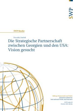 Die Strategische Partnerschaft zwischen Georgien und den USA: Vision gesucht - SWP-Studie