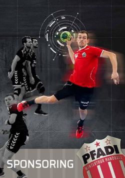 SPONSORING - Pfadi Winterthur