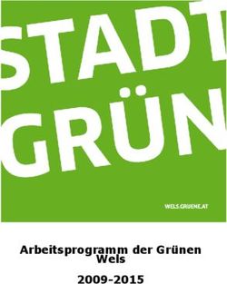 Arbeitsprogramm der Grünen Wels 2009-2015