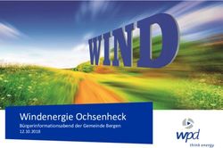Windenergie Ochsenheck - B&uuml;rgerinformationsabend der Gemeinde Bergen 12.10.2018 - wpd