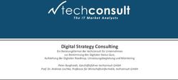 Digital Strategy Consulting - techconsult GmbH