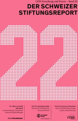 DER SCHWEIZER STIFTUNGSREPORT - CEPS Forschung und Praxis - Band 28 - SwissFoundations