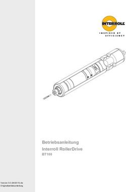 BETRIEBSANLEITUNG INTERROLL ROLLERDRIVE - BT100