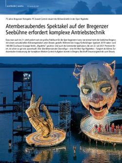 Atemberaubendes Spektakel auf der Bregenzer Seeb&uuml;hne erfordert komplexe Antriebstechnik