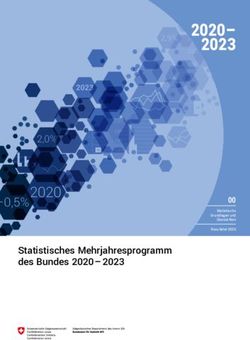 2020- 2023 Statistisches Mehrjahresprogramm des Bundes 2020 2023