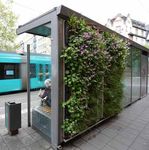 Lebendige, nachhaltige Fassaden - Helix Biomura - Helix Pflanzen GmbH