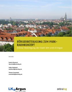 B&Uuml;RGERBETEILIGUNG ZUM PARK-RAUMKONZEPT - Online-Beteiligung der Stadt Ulm und LK Argus