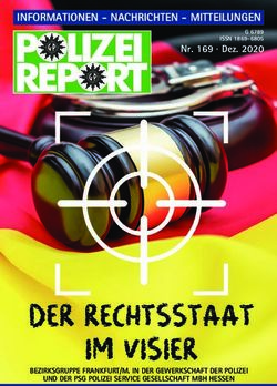 INFORMATIONEN - NACHRICHTEN - MITTEILUNGEN - Nr. 169 Dez. 2020 - BEZIRKSGRUPPE FRANKFURT/M. IN DER GEWERKSCHAFT DER POLIZEI