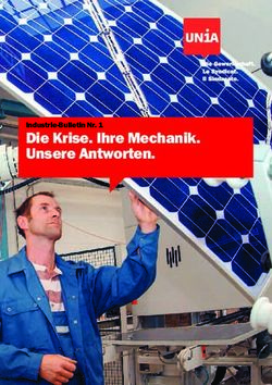 Die Krise. Ihre Mechanik. Unsere Antworten - Industrie-Bulletin Nr. 1 - Unia