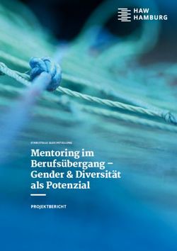 Mentoring im Berufs&uuml;bergang - Gender & Diversit&auml;t als Potenzial - PROJEKTBERICHT