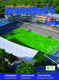 L&Ouml;WENBANDE Christian Britscho - HINTERGRUND - Rot-Blau ...