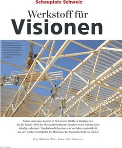 Visionen Schauplatz Schweiz - Timbatec