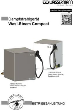 Wasi-Steam Compact Dampfstrahlger&auml;t - BETRIEBSANLEITUNG