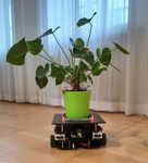 Konstruktion eines Artificial Pets in einer Smart Home Umgebung