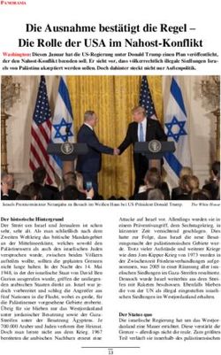 Die Ausnahme best&auml;tigt die Regel - Die Rolle der USA im Nahost-Konflikt