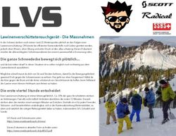 LVS Lawinenversch&uuml;ttetensuchger&auml;t - Die Massnahmen - snowboardcoach