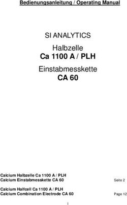 Ca 1100 A / PLH Einstabmesskette - CA 60