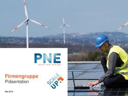 Firmengruppe Pr&auml;sentation - PNE AG