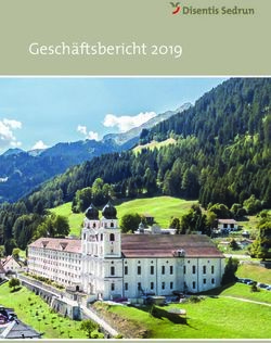 Geschäftsbericht 2019 - Disentis Sedrun