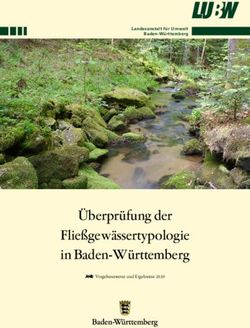 &Uuml;berpr&uuml;fung der Flie&szlig;gew&auml;ssertypologie in Baden-W&uuml;rttemberg - Vorgehensweise und Ergebnisse 2020