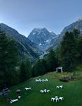Tour de Suisse - eine Grenzreise in der Schweiz - Samstag, 31. Juli bis Samstag, 7. August 2021 - IFMR