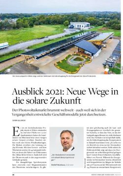 Ausblick 2021: Neue Wege in die solare Zukunft - Solarenergie - WI-Energy