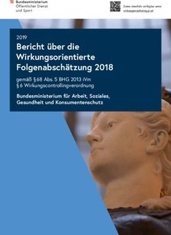 Bericht über die Wirkungsorientierte Folgenabschätzung 2018 - 2019 Bundesministerium für Arbeit, Soziales, Gesundheit und Konsumentenschutz