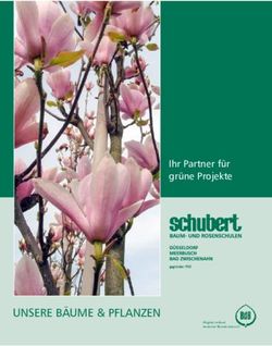 UNSERE B&Auml;UME & PFLANZEN - Ihr Partner f&uuml;r gr&uuml;ne Projekte - Baumschulen Schubert