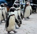 20 Jahre Aller-Leine-Tal aktuell