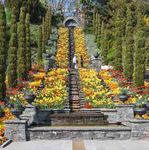 Weihnachtspfarrbrief - Pfarrgemeinde Sankt Martin Deggendorf