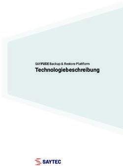 Technologiebeschreibung - SAYFUSE Backup & Restore Plattform