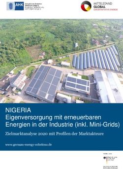 NIGERIA Eigenversorgung mit erneuerbaren Energien in der Industrie (inkl. Mini-Grids) - Zielmarktanalyse 2020 mit Profilen der Marktakteure