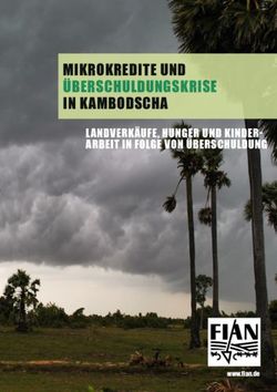 LANDVERK&Auml;UFE, HUNGER UND KINDER-ARBEIT IN FOLGE VON &Uuml;BERSCHULDUNG - www.fian.de - FIAN Deutschland