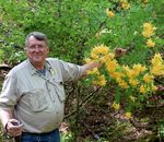 Naturhybriden am Hurricane Creek im Norden Georgias (USA)