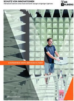 SCHUTZ VON INNOVATIONEN - Marke Vorarlberg