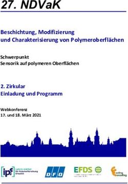 NDVAK BESCHICHTUNG, MODIFIZIERUNG UND CHARAKTERISIERUNG VON POLYMEROBERFL&Auml;CHEN