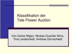 Klassifikation der Tele Flower Auction - Von Carlos Nilgen, Nicaise Ouambo Simo, Tina Landscheidt, Andreas Dornscheidt