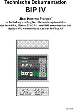 BIP IV Technische Dokumentation - Berg Energie