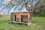 Fr&uuml;hling ist Hoffnung - Gemeinde March