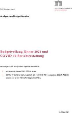 Budgetvollzug Jänner 2021 und COVID-19-Berichterstattung