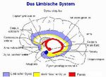 Ursachen und Symptome von Demenz - Jahresarbeit von Lena Binning Fach: Biologie Fachlehrer: Herr Stehl Hessisch Lichtenau/ Friedrichsbr&uuml;ck, den ...