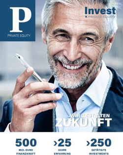ZUKUNFT 250 500 - Invest AG