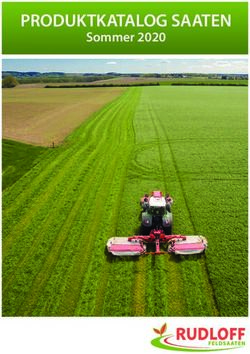 PRODUKTKATALOG SAATEN - Sommer 2020 - Rudloff-Feldsaaten