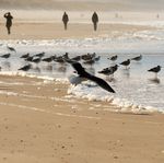 NORDSEE ZUSATZ-TERMIN - NACHFRAGE