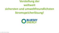 Vorstellung der weltweit sichersten und umweltfreundlichsten Stromspeicherlösung! - Juni 2019; Helmut Mayer